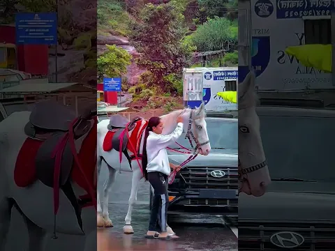 #bhojpuri#dance#song#music#newsong#automobile#maghiya#maghi#love#trending#viralshort#video