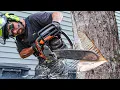 Felling Trees Near Buildings HOW TO