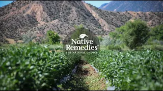 Native Remedies Who We Are 