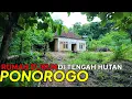 Lagu VIRAL‼️RUMAH DUKUN DI TENGAH HUTAN BELANTARA PONOROGO