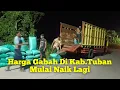 Download Lagu Info Harga Gabah Di Kec.Widang.Tuban