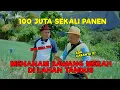 Download Lagu 100 JUTA SEKALI PANEN !!! MENANAM BAWANG MERAH DI LAHAN TANDUS - JURAGAN LAHAN