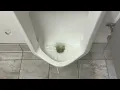 9 265 CVS Men s Restroom