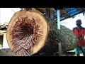 Download Lagu Horrific process!! sawing a beautiful large mahogany tree 