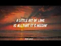 Lainey Wilson - Heart Like A Truck (Video Lyrics)