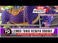 Download Lagu PERSIAPAN PELEBON PURI AGUNG UBUD ‼️ Lembu Tangi kebaya brokat 31/08/2025