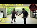 The Dog Tail - Part 3 the Dog Tail as an elegant counterattack