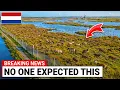 The Dutch Sealed 15 000 Acres From Humans and Walked Away 40 Years Later Nobody Expected This