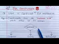 Constraints in SQL Oracle Database