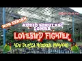 Download Lagu Simulasi Lomba Lovebird Fighter Durasi Ngekek Panjang Non Teriak