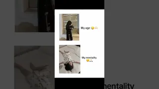 Https Pin It 4voEdLRjL 