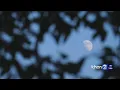 Aloha Authentic Hawaiian Moon Calendar