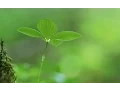 Download Lagu Dù 19 hay 25 - Bảo Bình Radio - Blog Cafe tháng 1/2017