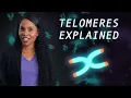 What are telomeres and how do they protect our cells