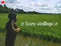 Download Lagu Lirik Sara Mallapi -Lely Sagita