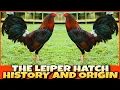 THE HISTORY AND ORIGIN OF LEIPER HATCH CHICKEN