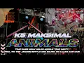 Download Lagu DJ ANIMASI K5 MAKSIMAL V3 TRAP PARTY ‼️ BASS NGUK GLER MIDDLE NROTOK ANDALAN K5 MAKSIMAL AUDIO