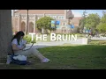 The Bruin