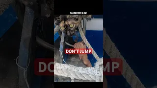DON’T JUMP