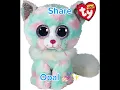 Your Beanie Boo Cat If You
