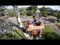 Probably the BEST Battery Chainsaw