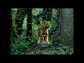 Download Lagu DJ Khaled  Wild Thought ft  Rihanna, Bryson Tiller (Lyrics)