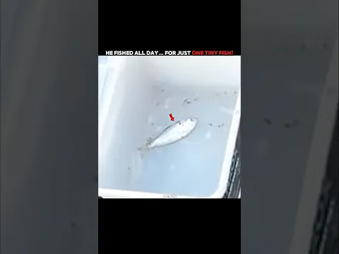 He Finally Caught a Fish... Then This Happened!🐍#trending #animals #wildlife #youtubeshorts #snake