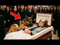 Download Lagu At Ozzy Osbourne Funeral, His Dog Jumped Onto This Body. What Happened Next Shocked Everyone