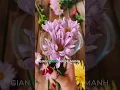 Download Lagu Thú vui trồng hoa biến thành gánh nặng – bạn có đang như vậy? #songxanh #cuocsong #duonghoa #phunu