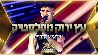 עילאי אלמקייס עץ ירוק מפלסטיק אקס פקטור לאירוויזיון 2022 