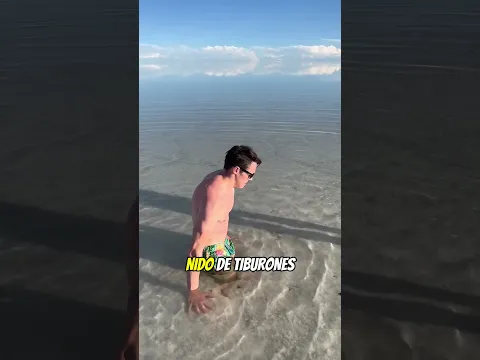 Se Metió en un Agujero de Tiburones... 😨