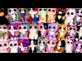 My Beanie Boo Cat Collection