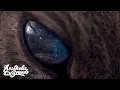 Eric Reprid - Cougar