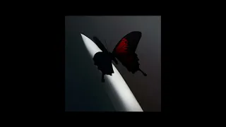 Post Malone - Lemon Tree 30 Min Extended