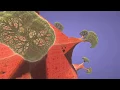 Mesmerizing 3D Fractal Trees Python OpenGL Creation
