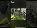 Dramatic Moment That Deck Collapses Under U S Marshals Serving Warrant