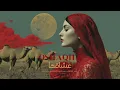 Download Lagu Oshaqha | عشاقها (Remix) | Arabic Techno House Mix SNX
