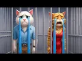 Download Lagu 💥😾 Mother and Kitten Unite for Revenge After Cat Father’s Betrayal! #story #aicat#catshorts