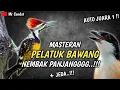 Download Lagu Ngeriiii..!!!masteran pelatuk bawang nembak panjangggg