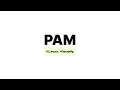 Linux Visually PAM