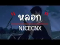หลอก   NICECNX  (เนื้อเพลง)