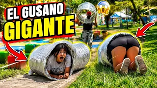 Broma, del 🐛 gusano gigante #viral  #shortvideo 