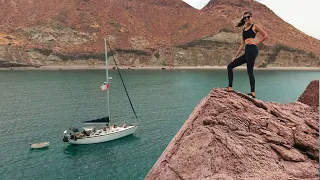 Isla San Francisco | Sailing Avocet