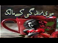 Download Lagu Urdu /hindi dong 2025 میری زندگی کے مالک