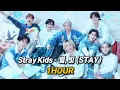 [1HOUR] Stray Kids - 별, 빛 (STAY) 1시간 연속듣기 | Loop