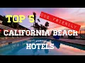 Top 5 Best Dog Friendly Beach Hotels In California
