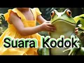 Download Lagu suara kodok malam hari
