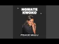 Download Lagu Maundu Manene