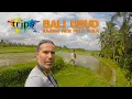 Download Lagu Bali - Ubud - Kajeng Rice Field Walk - Indonesia