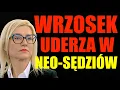 Lagu Ewa Wrzosek uderza w neo-sędziów! „Grają losem całego społeczeństwa”. Czas na radykalne kroki.